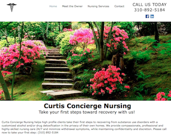 website preview